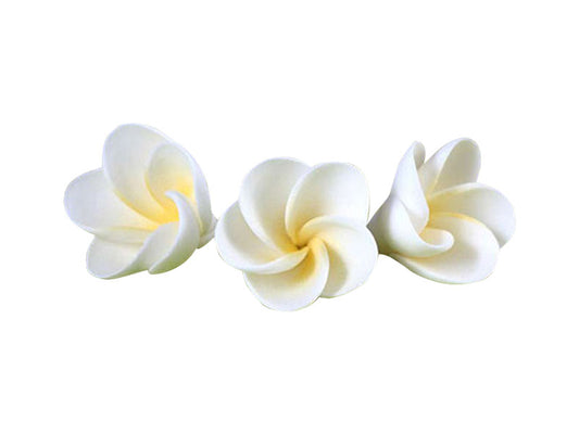 Frangipani Medium Yellow